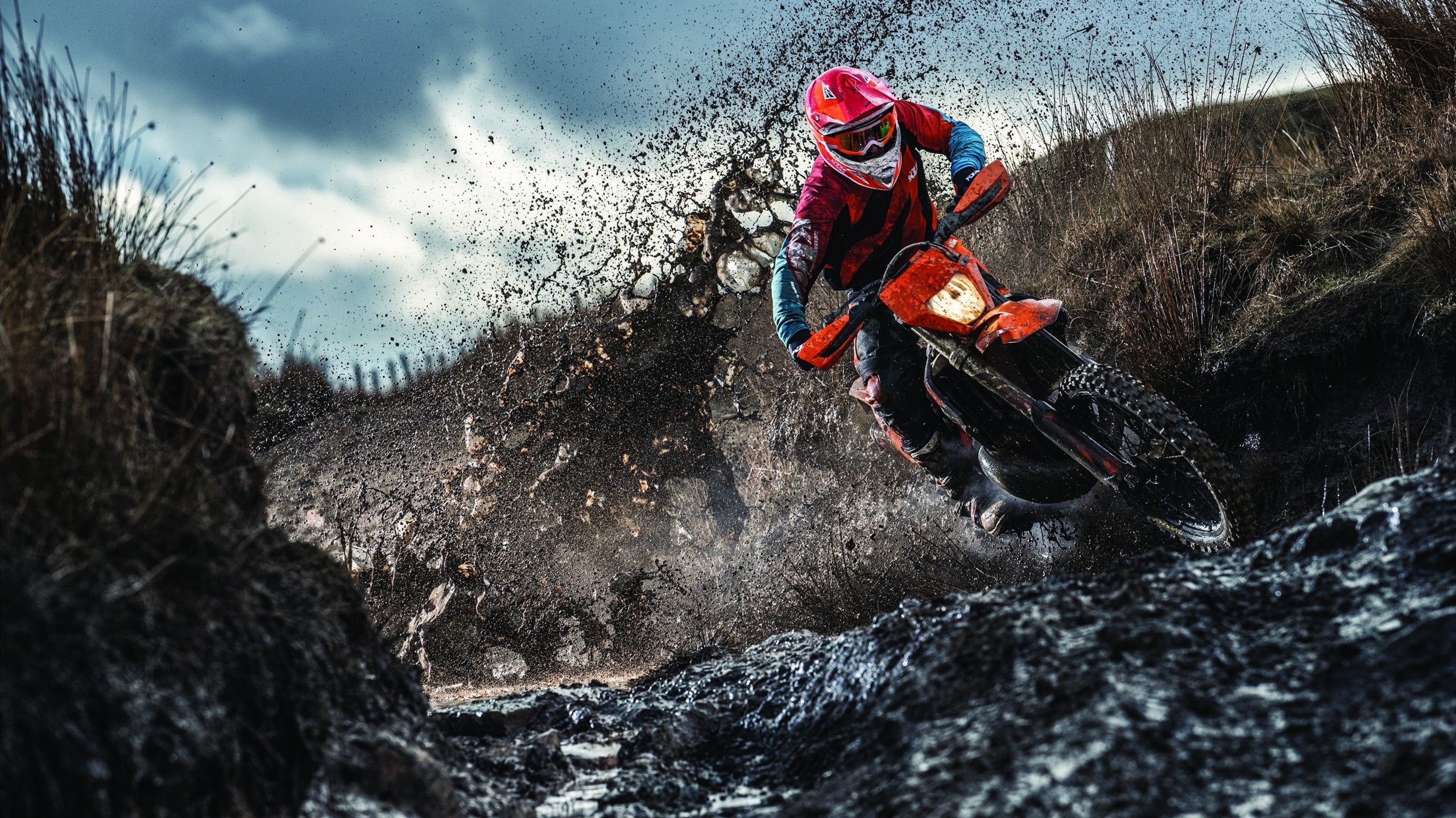 校园体育活动对学生身心发展的促进作用，体育活动对学校的影响