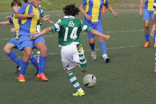 开云下载-国际比赛日对球员体能恢复提出更高要求，国际比赛日对球员体能恢复提出更高要求是什么